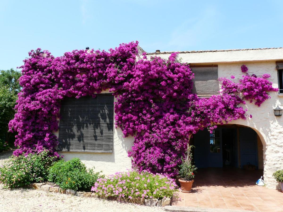 Casa Rural Con Encanto, 4 Hab Con 4 Banos Completos En Suite, Piscina Y Campo Privado เปเดรเกร์ ภายนอก รูปภาพ